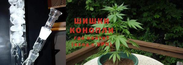 прущая мука Арсеньев