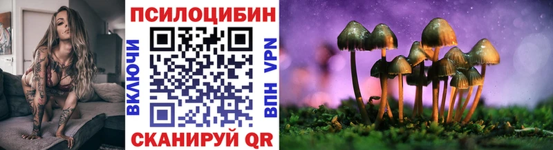 omg онион  Сим  Псилоцибиновые грибы Psilocybe 