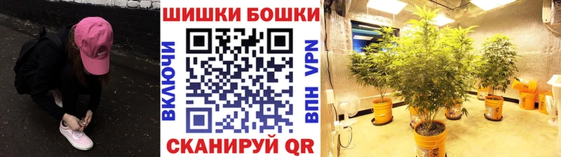 хочу наркоту  Сим  Шишки марихуана план 